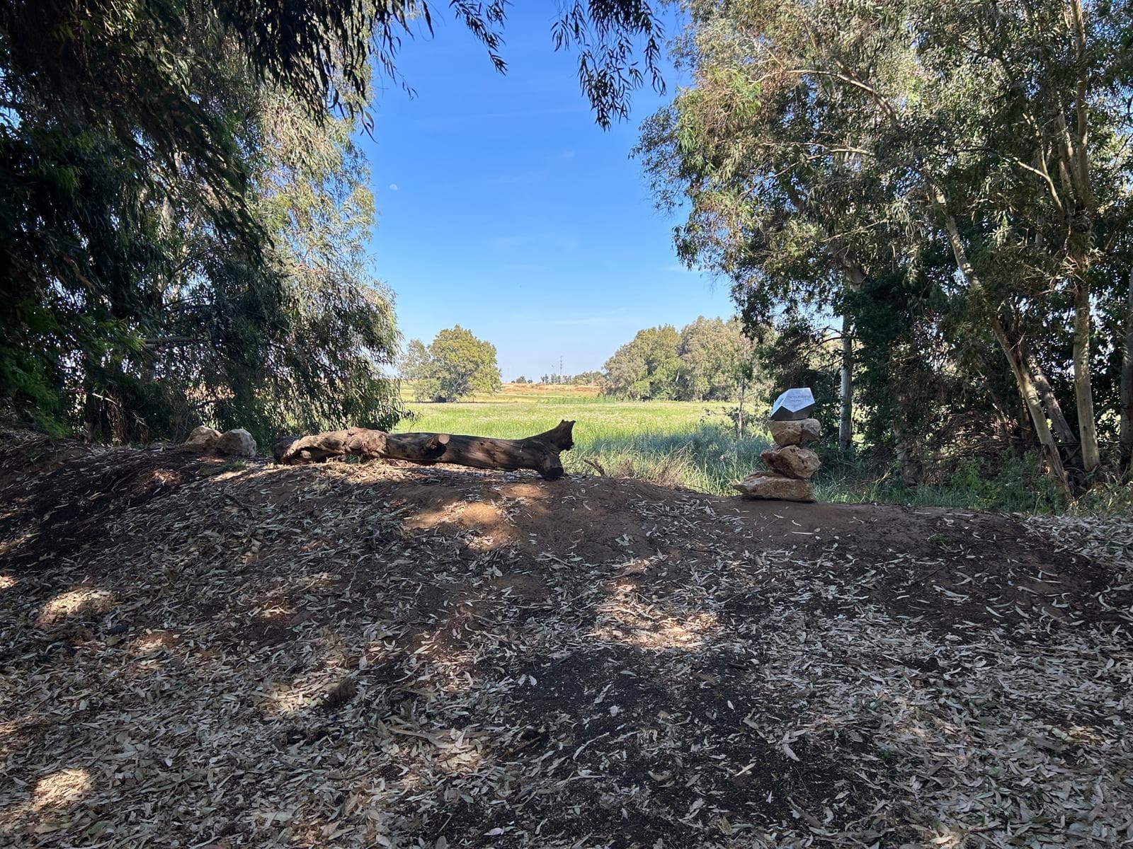 המחנה הגדול (געש) - בצל אמיר 1